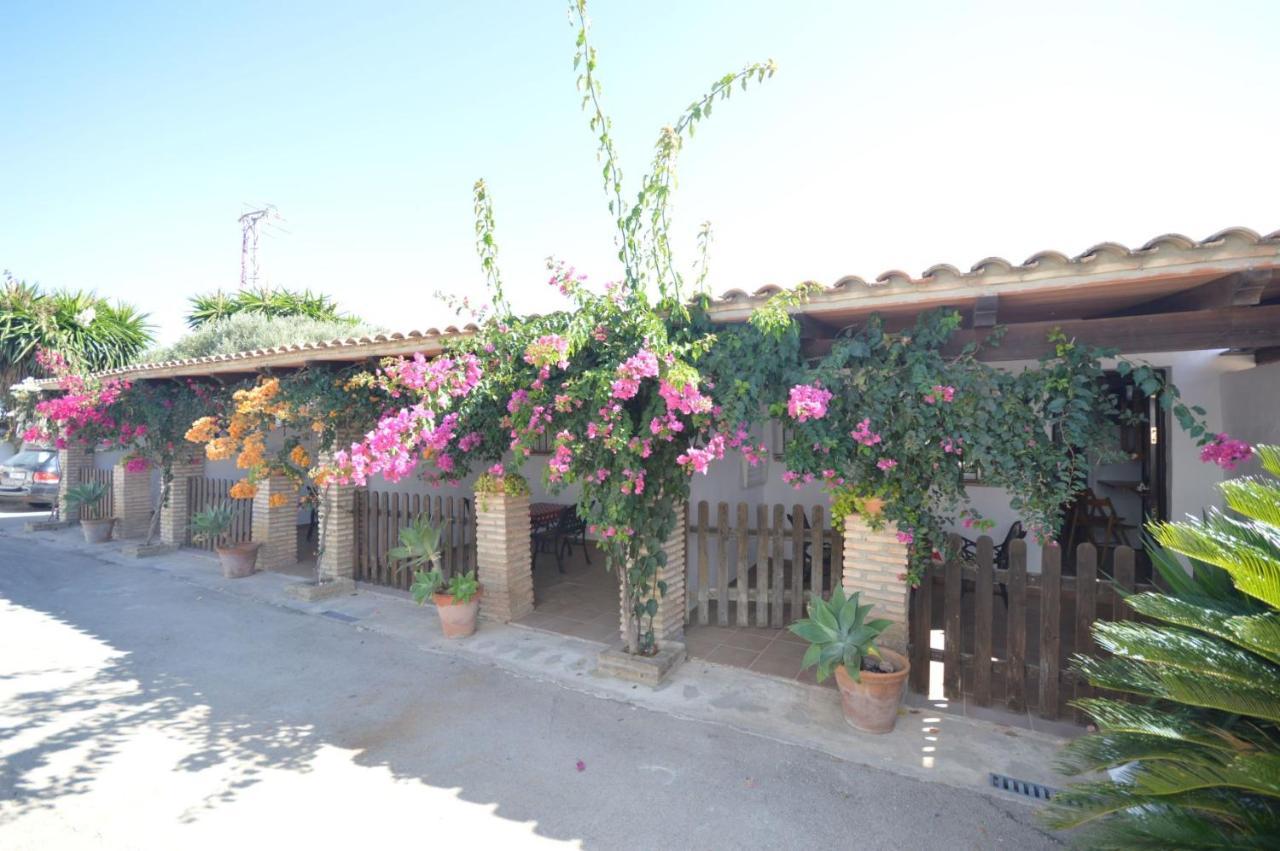 Estudios Con Piscina Compartida En Conil. กาดิซ ภายนอก รูปภาพ