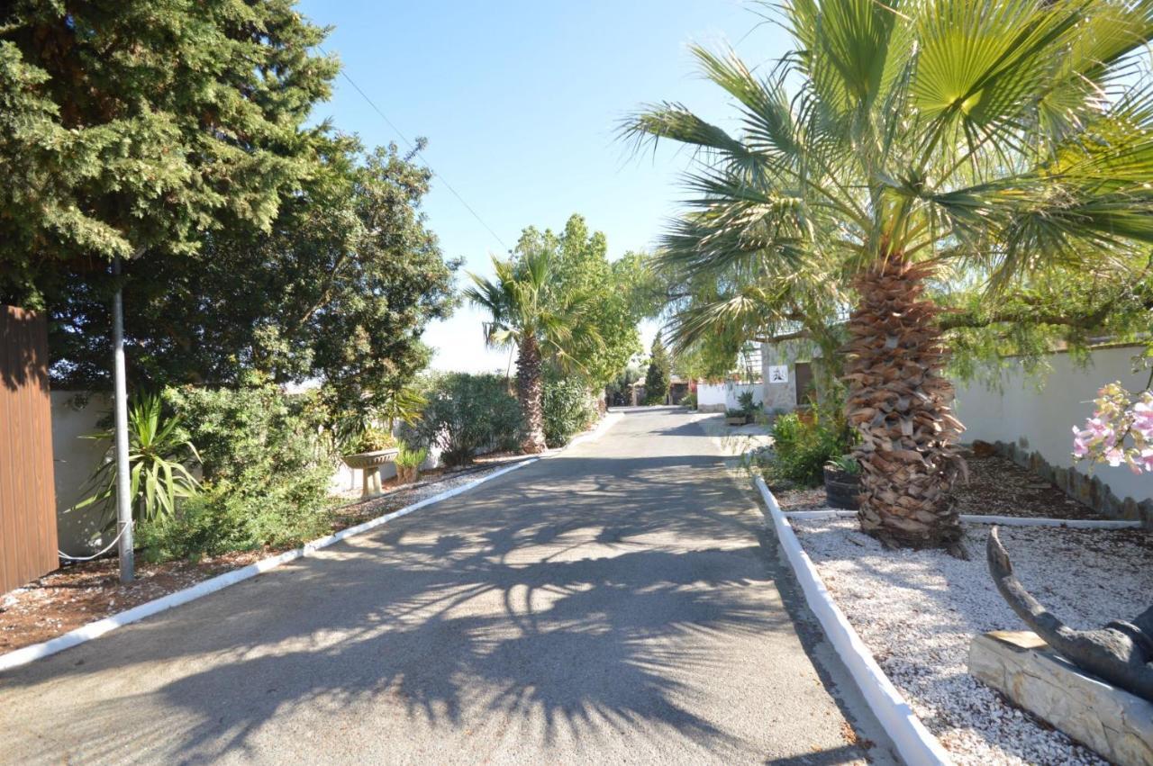 Estudios Con Piscina Compartida En Conil. กาดิซ ภายนอก รูปภาพ