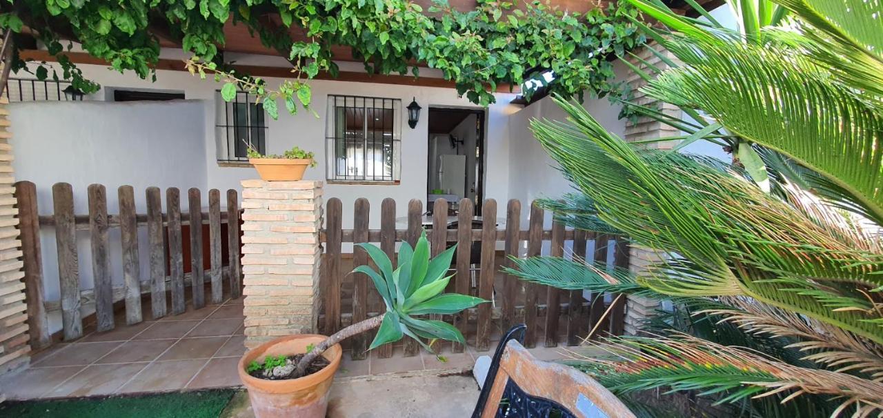 Estudios Con Piscina Compartida En Conil. กาดิซ ภายนอก รูปภาพ
