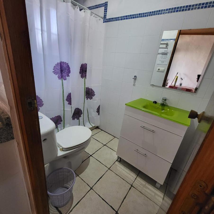 Estudios Con Piscina Compartida En Conil. กาดิซ ภายนอก รูปภาพ